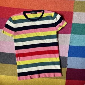 Zara Multicolor Striped Knit Top